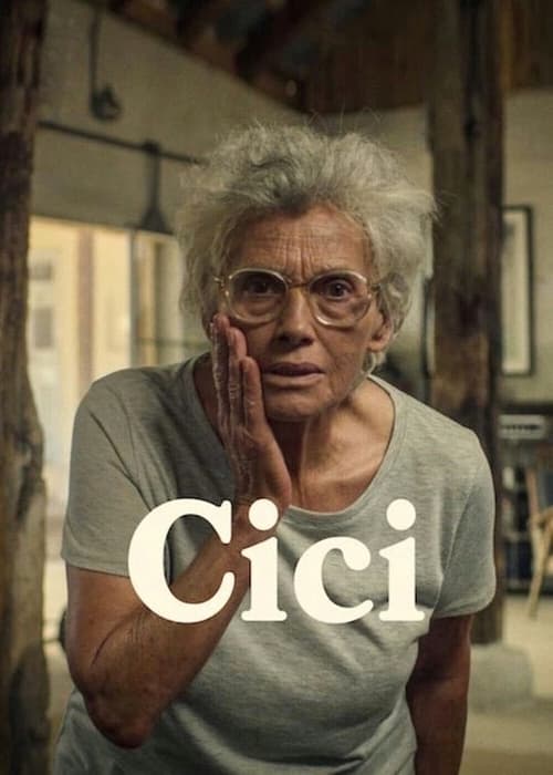 مشاهدة فيلم حلوتي 2022 Cici مدبلج موقع قصة عشق الاصلي