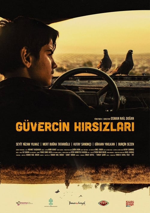 مشاهدة فيلم سارقو الحمام Guvercin Hırsızları مترجم موقع قصة عشق الاصلي